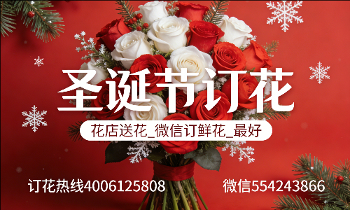 广州南沙区花店送花_微信订鲜花_圣诞节订花_最好? 广州南沙区花店